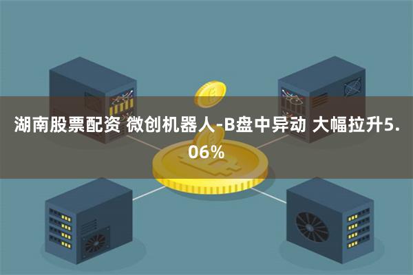 湖南股票配资 微创机器人-B盘中异动 大幅拉升5.06%