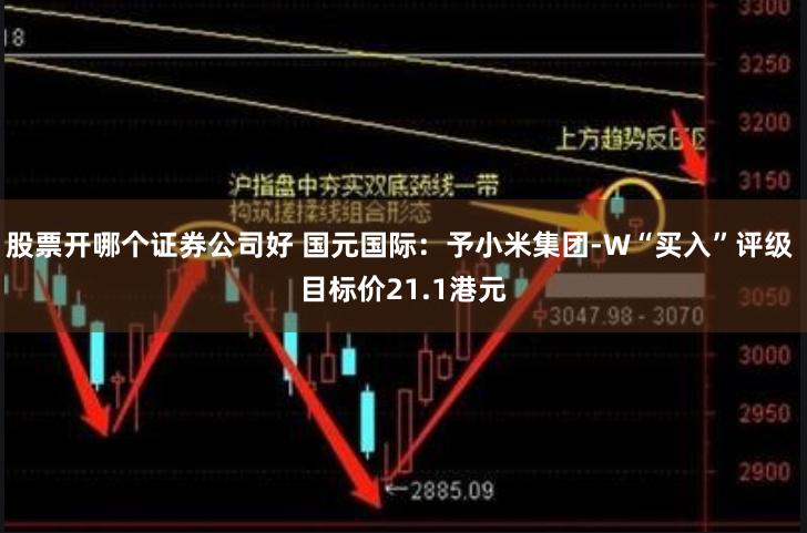 股票开哪个证券公司好 国元国际：予小米集团-W“买入”评级 目标价21.1港元