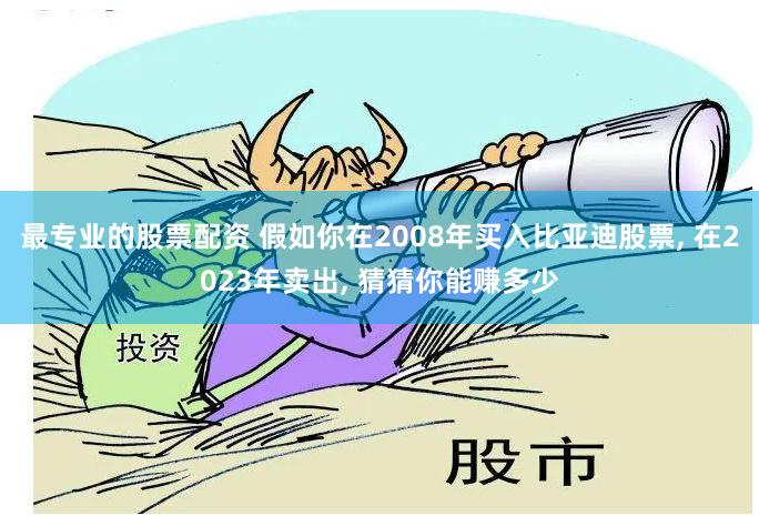 最专业的股票配资 假如你在2008年买入比亚迪股票, 在2023年卖出, 猜猜你能赚多少